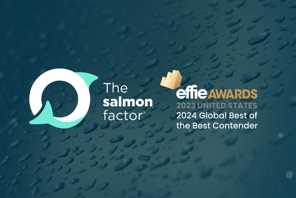 TSF BEST OF THE BESTS