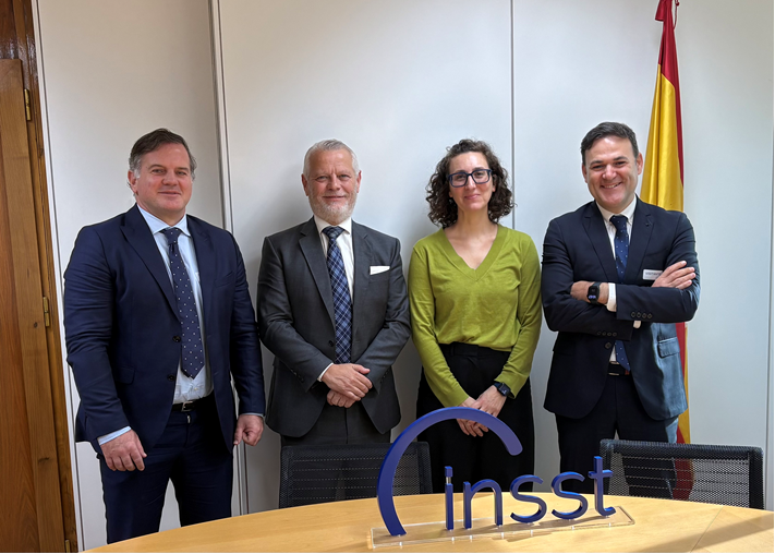 Mandatum con la Directora General del Instituto Nacional de la Seguridad y Salud en el Trabajo (INSST) 2 image 15