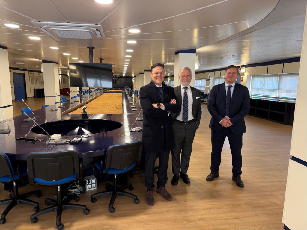 Mandatum con la Directora General del Instituto Nacional de la Seguridad y Salud en el Trabajo (INSST) 5 image 18