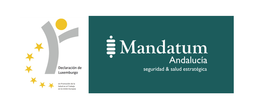 Imagen8